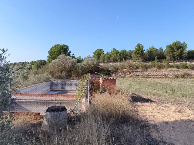 Terreno en venta en Móra d'Ebre, Tarragona