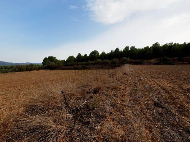 Terreno en venta en Móra d'Ebre, Tarragona