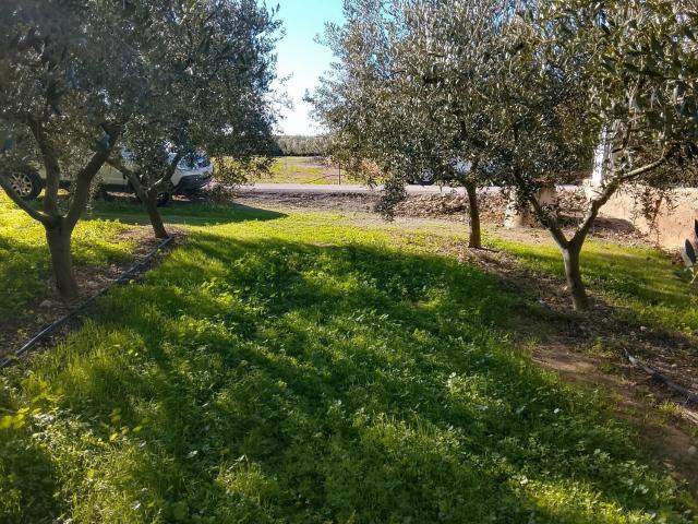 Terreno en venta en Móra d'Ebre, Tarragona