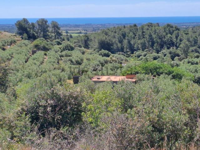 Terreno en venta en Móra la Nova, Tarragona