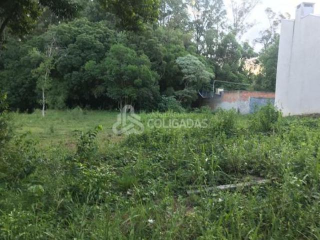Terreno venda em Passo Fundo