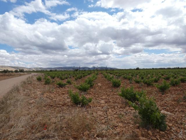 Terreno en venta en Moral De Calatrava, Castilla-La Mancha