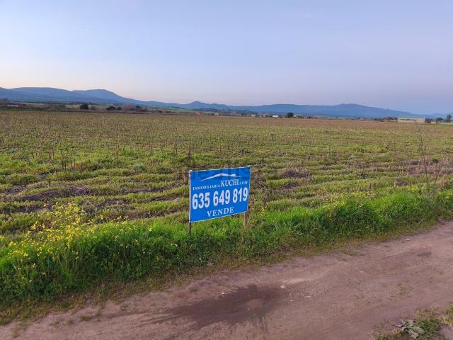 Terreno en venta en Moraleja, Extremadura