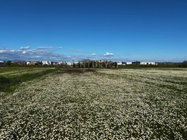 Terreno en venta en Moraleja, Extremadura