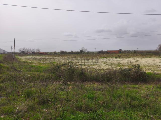 Terreno en venta en Moraleja, Extremadura