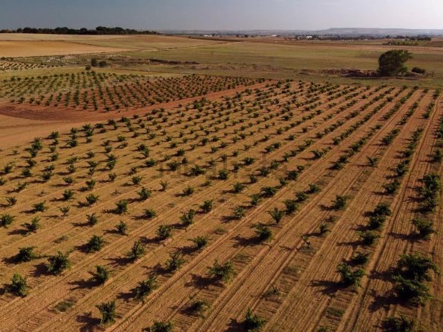 Terreno en venta en Madridanos, Castilla y León
