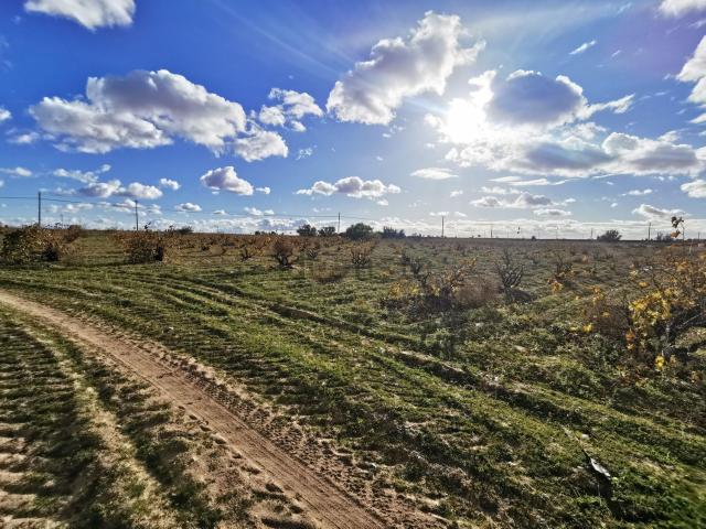 Terreno en venta en Morales De Toro, Castilla y León