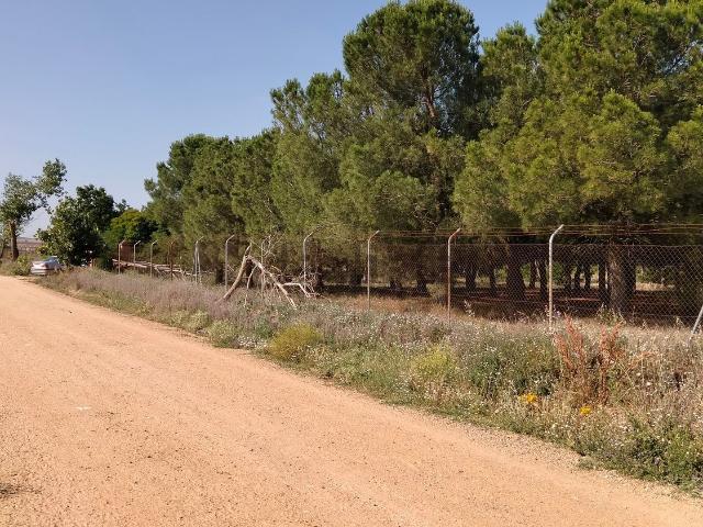 Terreno en venta en Entrala, Castilla y León