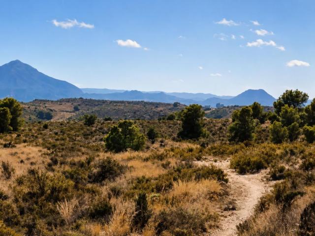 Terreno en venta en Finca de Don Jaume, l'Alacantí
