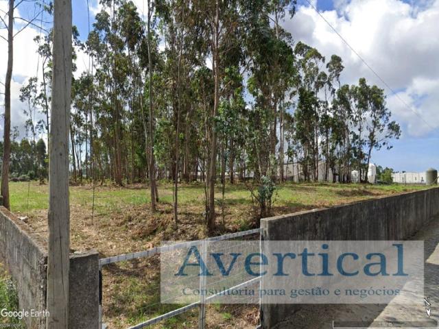 Terreno alugar em Maia, Padrão de Moreira