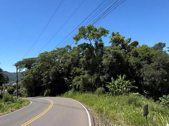 Terreno venda em Região Geográfica Imediata de Caxias do Sul, Feliz
