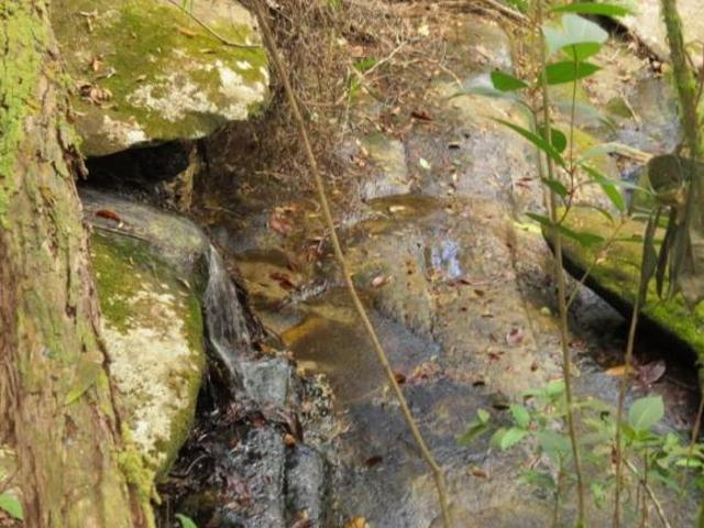 Terreno venda em Morro do Pilar, Região Geográfica Intermediária de Belo Horizonte
