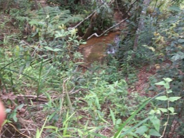 Terreno venda em Morro do Pilar, Região Geográfica Intermediária de Belo Horizonte