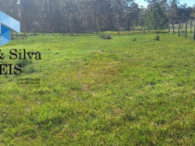 Terreno venda em Região Geográfica Imediata de Porto Alegre, Região Metropolitana de Porto Alegre