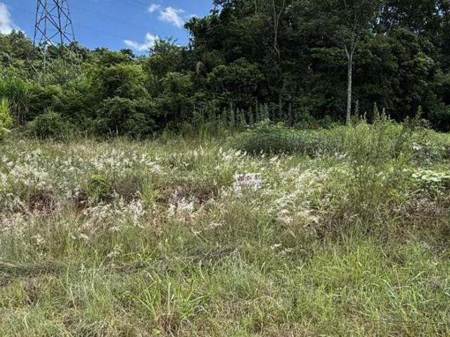 Terreno venda em Região Geográfica Imediata de Caxias do Sul, Vale Real