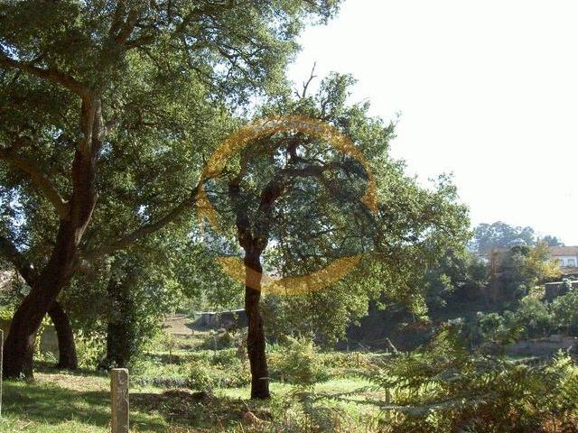 Terreno venda em Mosteirô, Santa Maria Da Feira