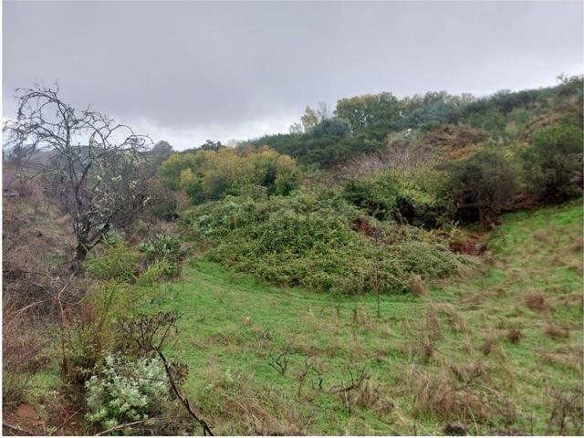 Terreno en venta en Moya, Canarias