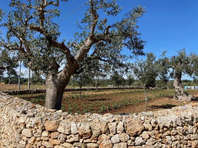 Terreno in vendita a Puglia, Bari