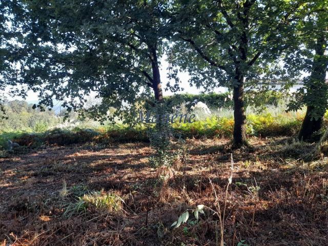 Terreno en venta en Mungia, Guipúzcoa