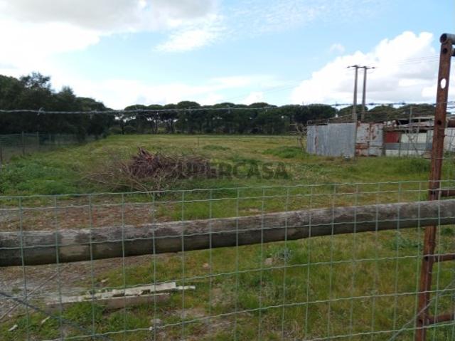 Terreno venda em Montijo, Setúbal