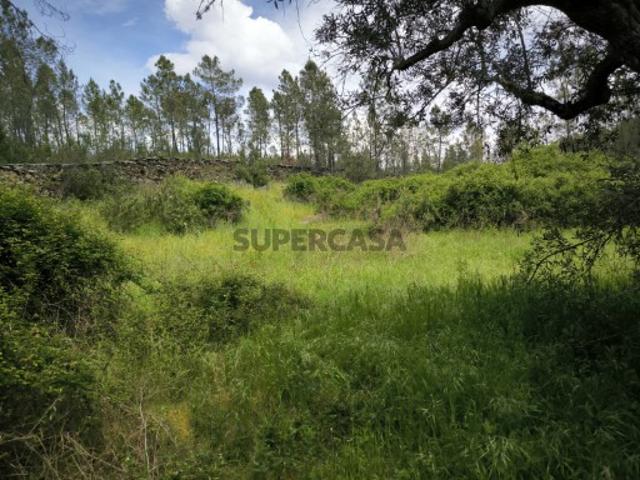 Terreno venda em Castelo Branco