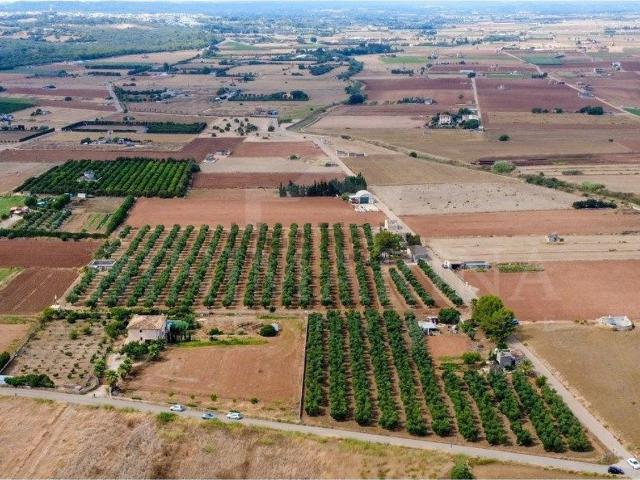 Terreno en venta en Pla de Mallorca, Baleares