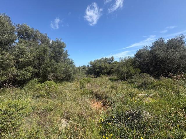 Terreno en venta en Pla de Mallorca, Baleares