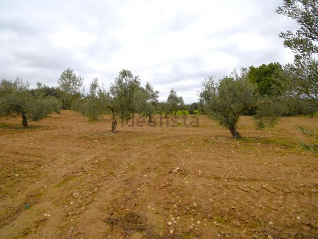 Terreno en venta en Pla de Mallorca, Baleares