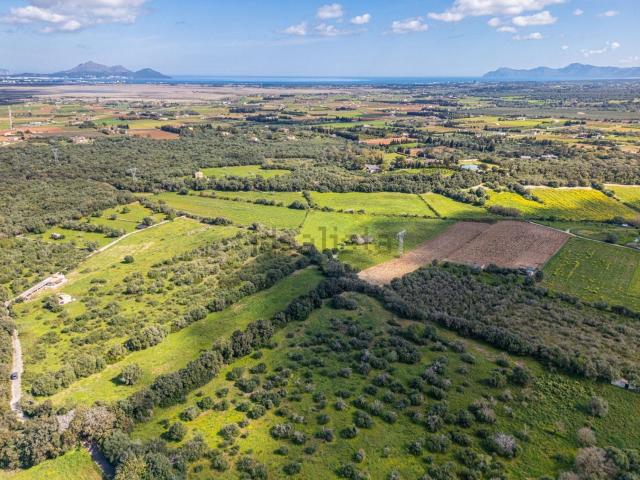Terreno en venta en Pla de Mallorca, Baleares
