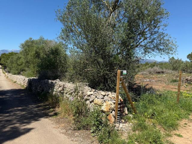 Terreno en venta en Pla de Mallorca, Baleares