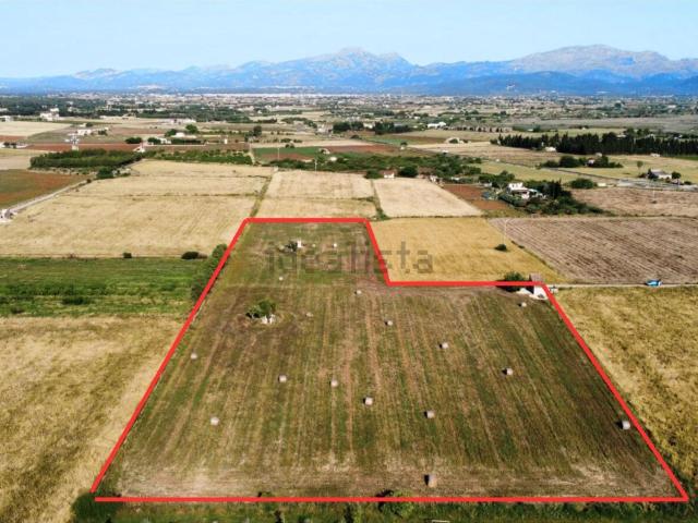 Terreno en venta en Pla de Mallorca, Baleares