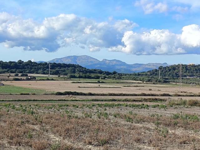 Terreno en venta en el Comtat, Valencia