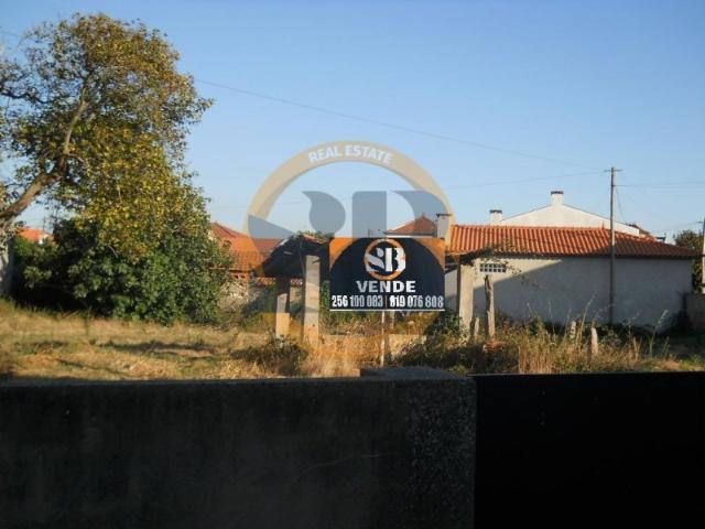 Terreno venda em Murtosa Albergaria, Murtosa