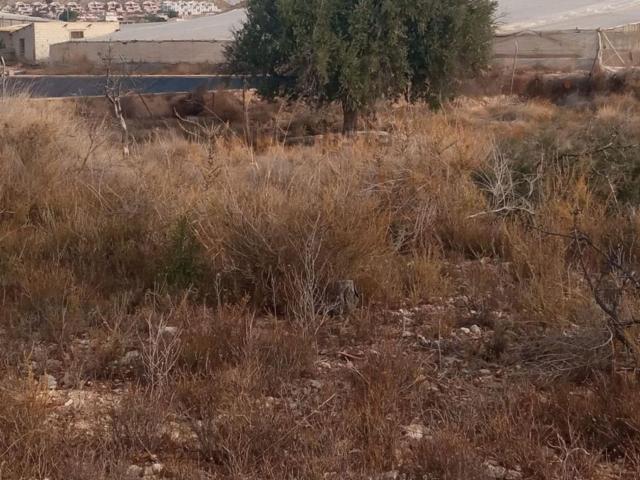 Terreno en venta en l'Alacantí, Valencia