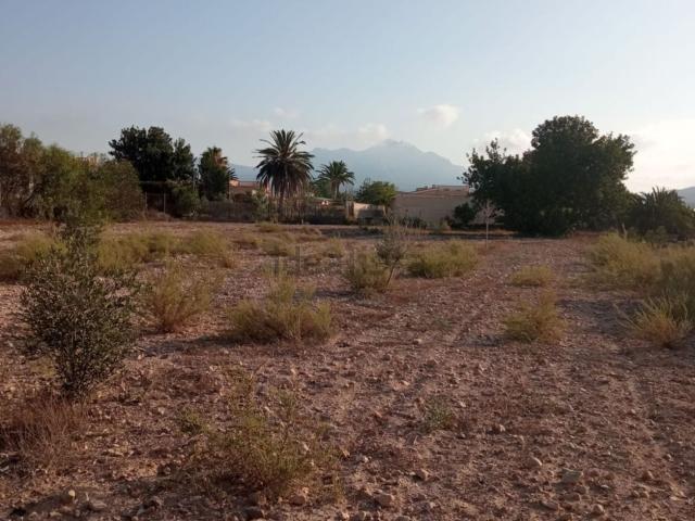 Terreno en venta en Urbanització El Molí Nou, l'Alacantí