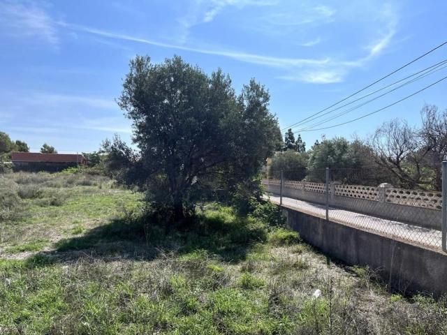 Terreno en venta en Urbanització L'Horta, l'Alacantí