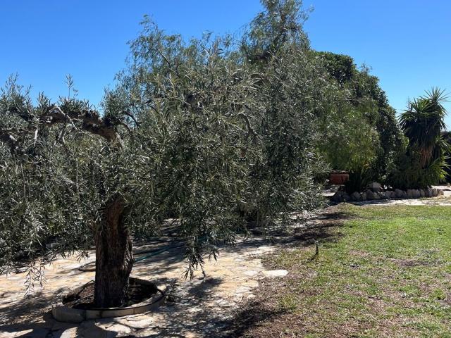 Terreno en venta en Urbanització L'Horta, l'Alacantí
