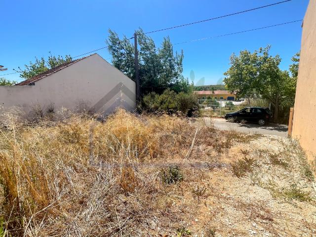 Terreno venda em Santarém