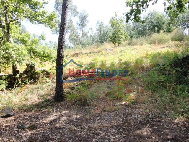 Terreno venda em Póvoa De Lanhoso, Bairro Terreno venda em Póvoa De Lanhoso, Bairro