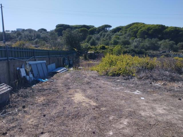 Quinta venda em Bolelas, Sintra