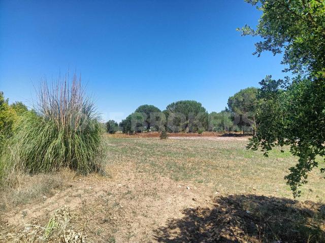 Terreno venda em Benavente, Santarém