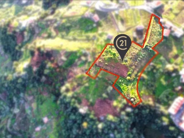 Terreno venda em Machico, Ilha Da Madeira
