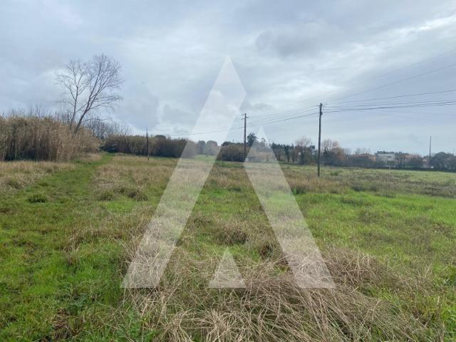 Terreno venda em Anadia, Aveiro