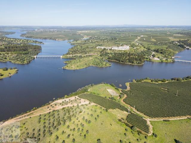 Terreno venda em Avis, Portalegre