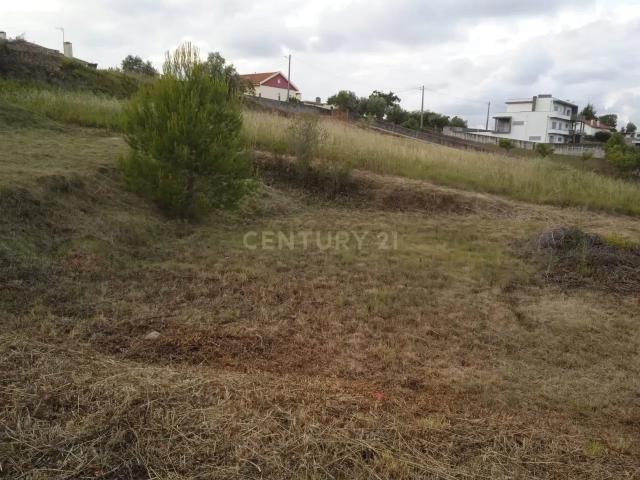 Terreno venda em Batalha, Reguengo Do Fetal