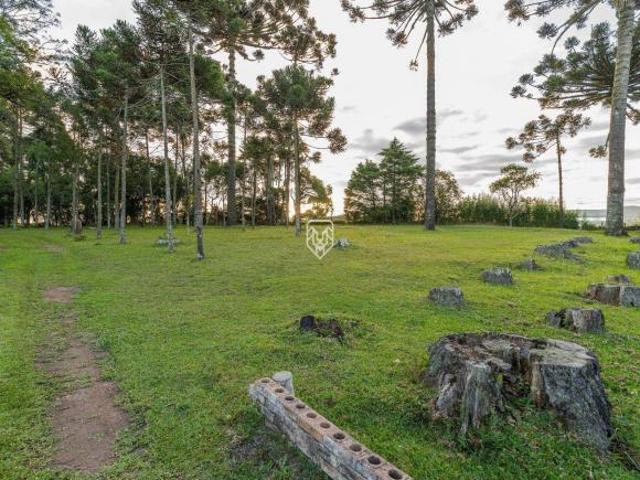 Terreno venda em Região Geográfica Imediata de Curitiba, Região Metropolitana de Curitiba