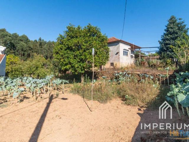 Terreno venda em Albergaria-a-velha, Aveiro