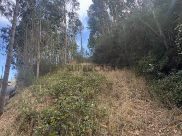 Terreno venda em Mesas, Santa Cruz