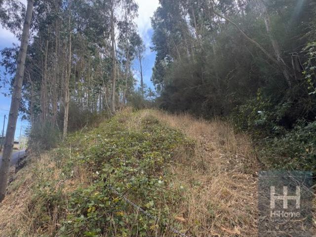 Terreno venda em Mesas, Santa Cruz