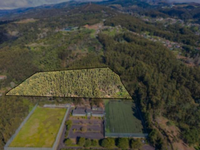Terreno venda em Santa Cruz, Ilha Da Madeira